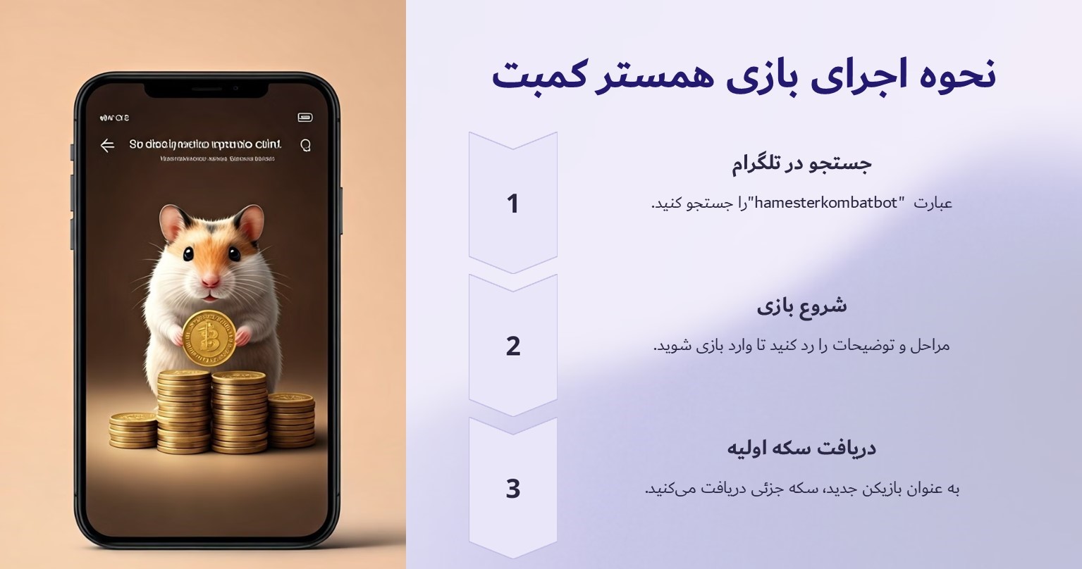 نحوه اجرا بازی همستر کمبت